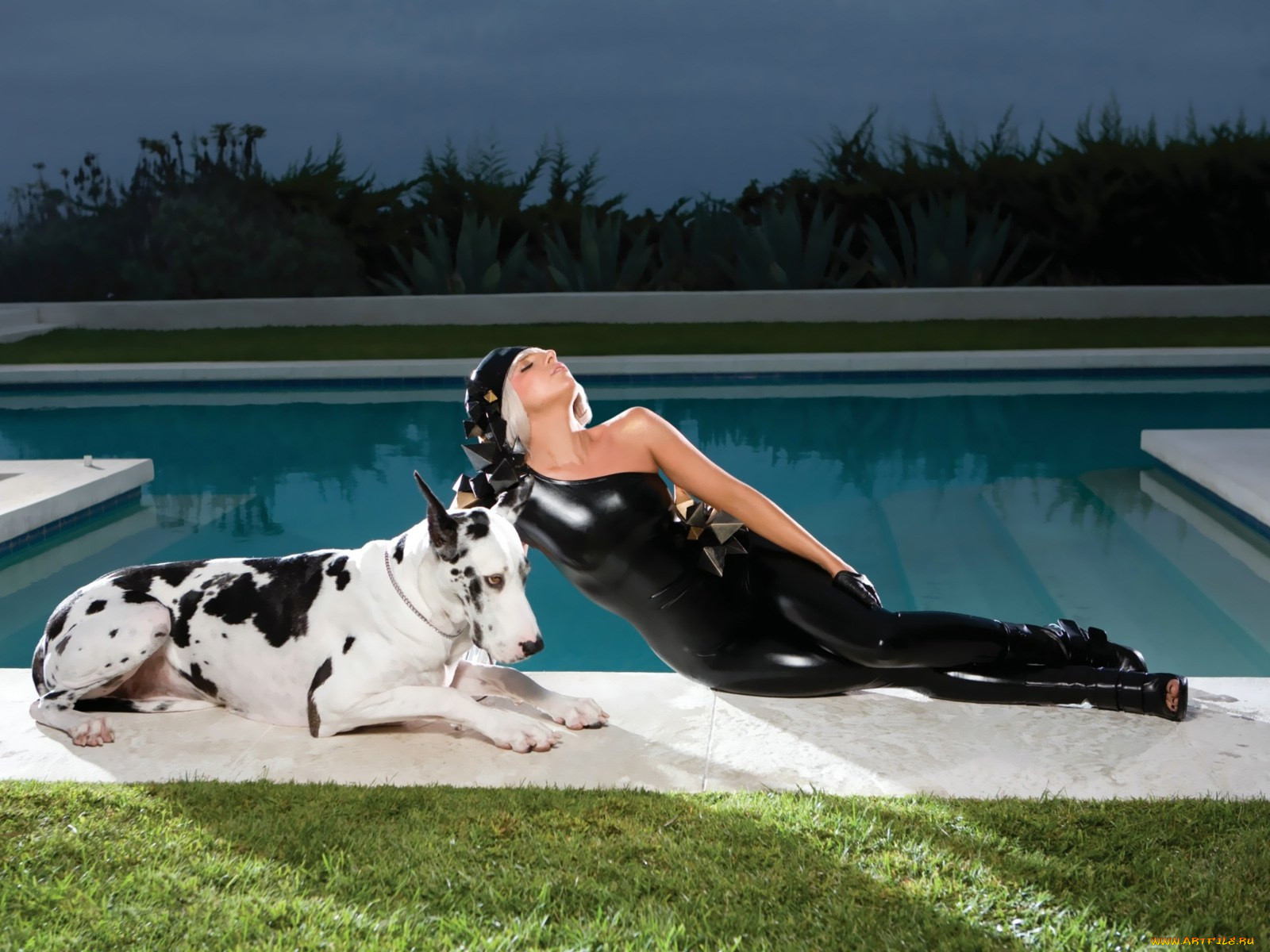 lady, gaga, 